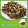 High quality cardamom oil extract with competitive price